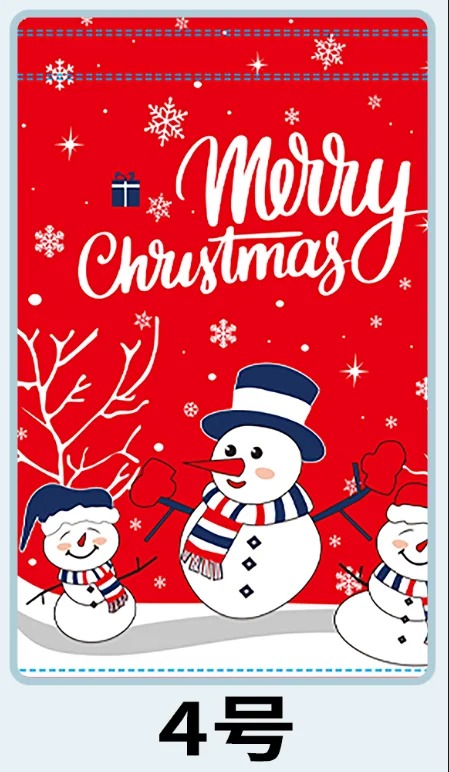 Biodegradable Christmas Gift Bag