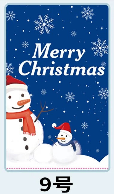 Biodegradable Christmas Gift Bag