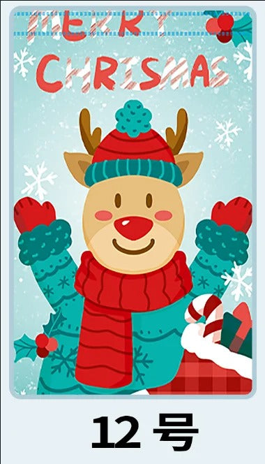 Biodegradable Christmas Gift Bag