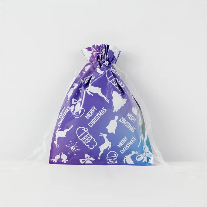 Biodegradable Christmas Gift Bag