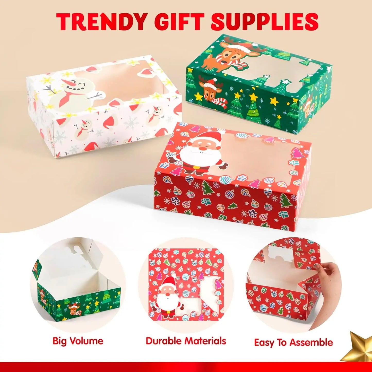 Christmas Window  Boxes