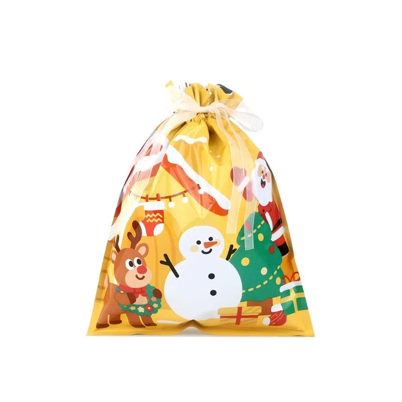 Biodegradable Christmas Gift Bag