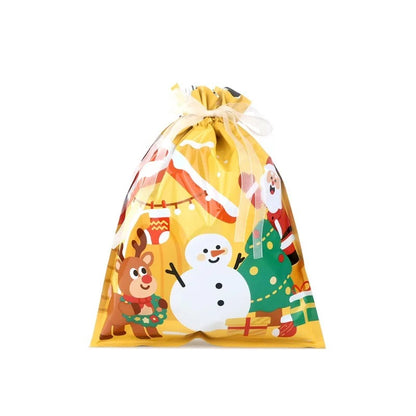 Biodegradable Christmas Gift Bag