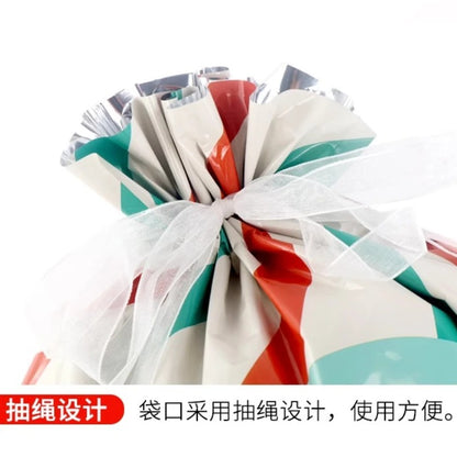 Biodegradable Christmas Gift Bag
