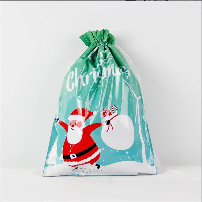 Biodegradable Christmas Gift Bag